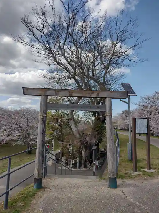 楠大明神(三重県)
