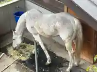 鹿児島神宮の{uncategorized: "未分類", other: "その他", undefined: "問題あり", building: "その他建物", grave: "お墓", sacred_gate: "鳥居", guardian: "狛犬", statue: "像", buddha: "仏像", history: "歴史", nature: "自然", garden: "庭園", animal: "動物", pagoda: "塔", temizu: "手水舎", mountain_gate: "山門・神門", sanctuary: "本殿・本堂", subordinate: "末社・摂社", art: "芸術", scenery: "景色", jizo: "地蔵", ema: "絵馬", goshuin: "御朱印", omikuji: "おみくじ", items: "授与品その他", amulet: "お守り", goshuincho: "御朱印帳", eats: "食事", festival: "お祭り", votive_dance: "神楽", shichigosan: "七五三参", wedding: "結婚式", experience: "体験その他", initially: "初詣", around: "周辺", anti_infection: "感染症対策"}