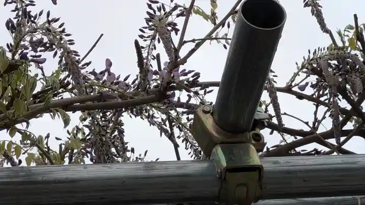 大松禅寺(京都府)