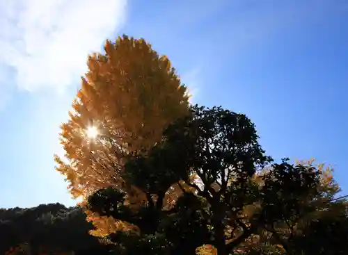 岩屋寺の自然