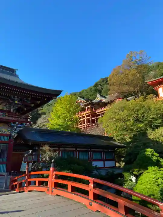 祐徳稲荷神社の{uncategorized: "未分類", other: "その他", undefined: "問題あり", building: "その他建物", grave: "お墓", sacred_gate: "鳥居", guardian: "狛犬", statue: "像", buddha: "仏像", history: "歴史", nature: "自然", garden: "庭園", animal: "動物", pagoda: "塔", temizu: "手水舎", mountain_gate: "山門・神門", sanctuary: "本殿・本堂", subordinate: "末社・摂社", art: "芸術", scenery: "景色", jizo: "地蔵", ema: "絵馬", goshuin: "御朱印", omikuji: "おみくじ", items: "授与品その他", amulet: "お守り", goshuincho: "御朱印帳", eats: "食事", festival: "お祭り", votive_dance: "神楽", shichigosan: "七五三参", wedding: "結婚式", experience: "体験その他", initially: "初詣", around: "周辺", anti_infection: "感染症対策"}