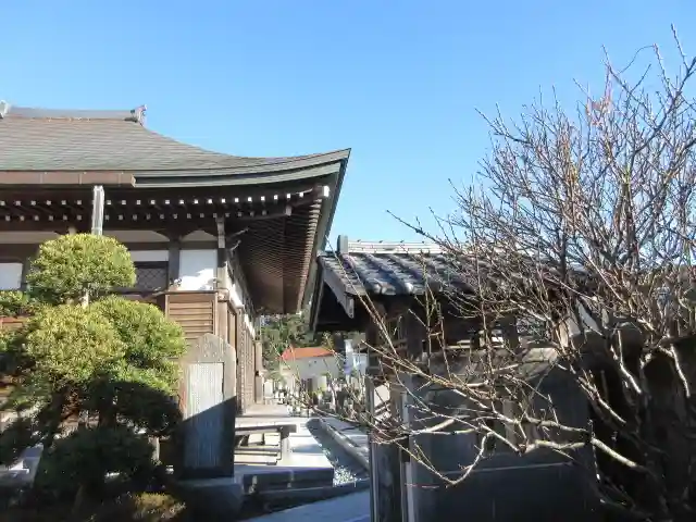 妙長寺のその他建物
