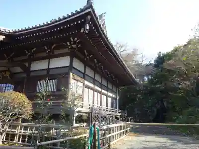 妙蓮寺の本殿・本堂