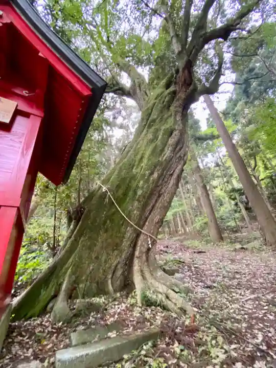 佐伎治神社の自然