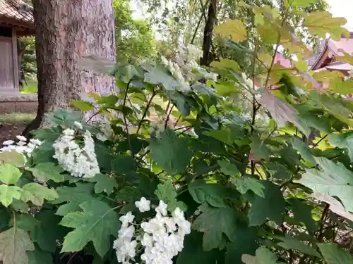 菅原神社の自然
