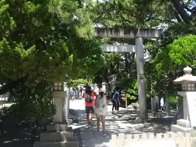森戸大明神(森戸神社)の鳥居