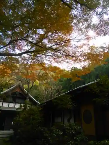 瑞泉寺の本殿・本堂