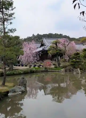 法金剛院(京都府)