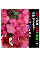 耕田院(山形県)