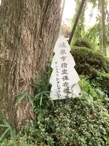 林陽寺の自然