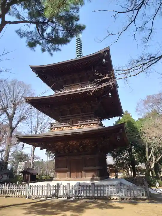 豪徳寺のその他建物