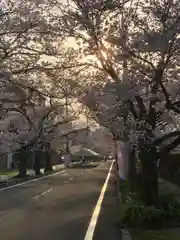  湊八幡神社(福井県)