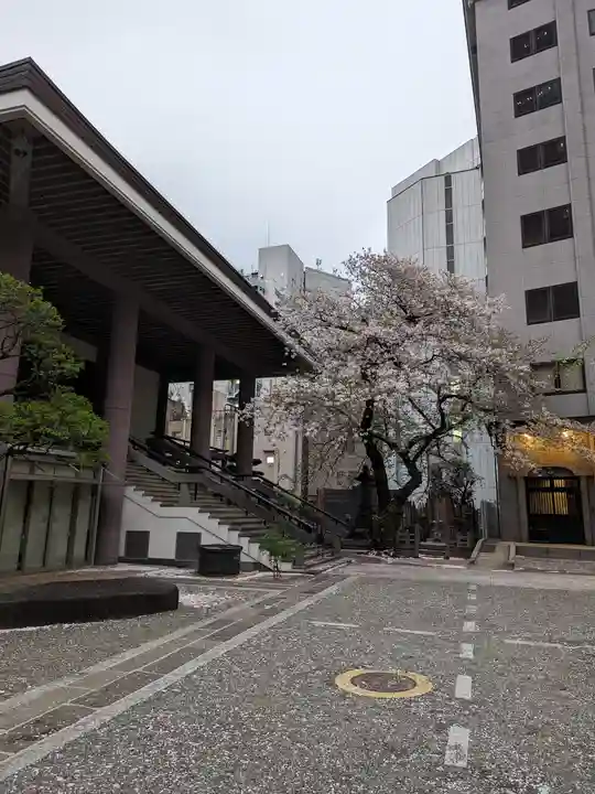 常圓寺(東京都)