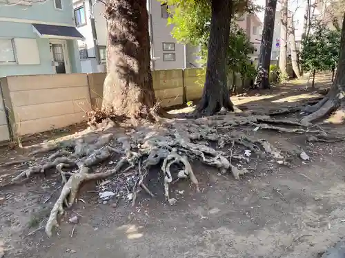 八雲氷川神社(東京都)
