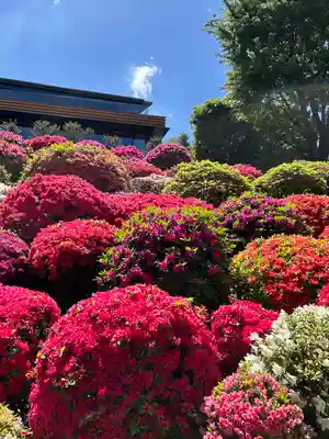 根津神社(東京都)