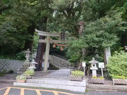 泉神社の鳥居