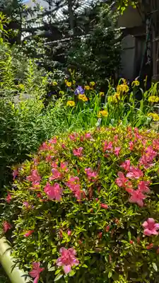 宝蔵寺(京都府)