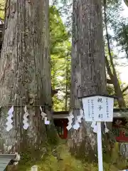 日光二荒山神社の自然