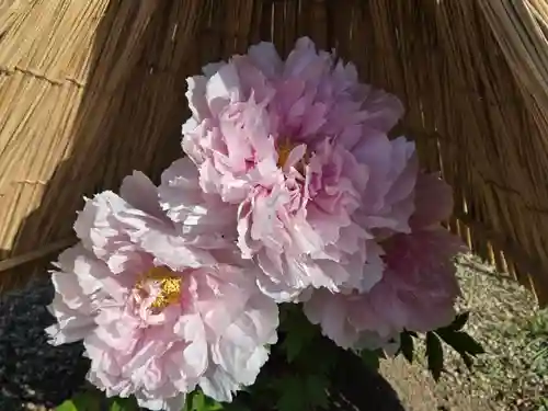 石光寺(奈良県)