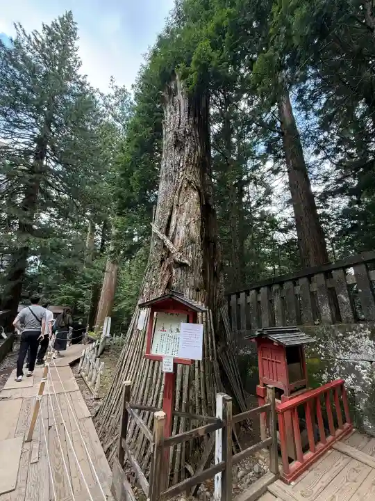 日光東照宮奥宮拝殿(栃木県)