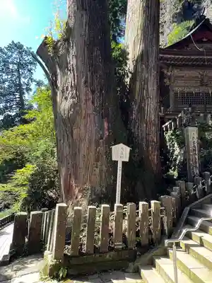 榛名神社(群馬県)