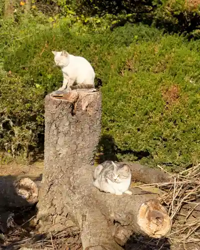 醫王寺(黄金身代り不動尊) (群馬県)