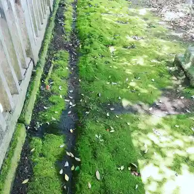 稲荷神社の自然