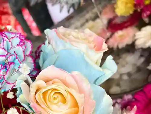 札幌諏訪神社の手水舎