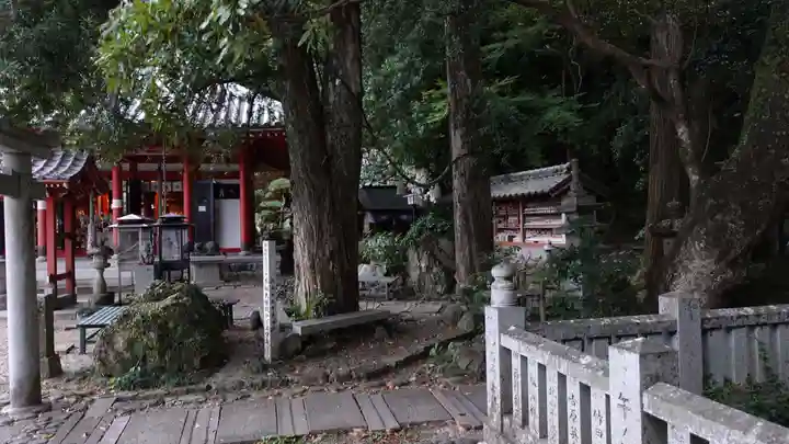 お松大権現(徳島県)