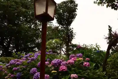 白山神社(東京都)