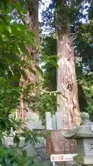 夏井諏訪神社の建物その他