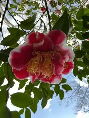霊鑑寺門跡(京都府)