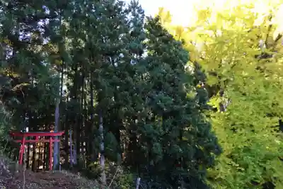 乙宿禰神社の鳥居