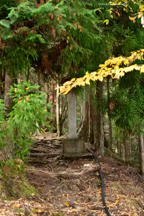 三峯神社(埼玉県)