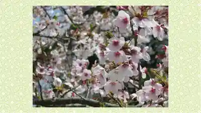 宮城縣護國神社(宮城県)