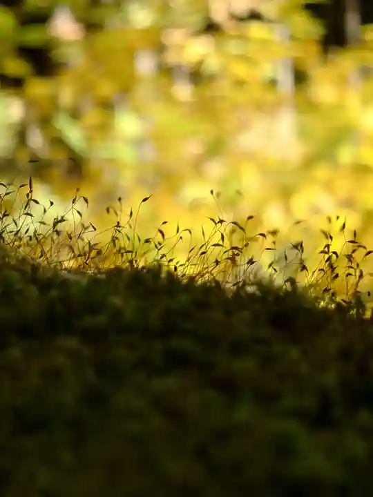 榛名神社(群馬県)