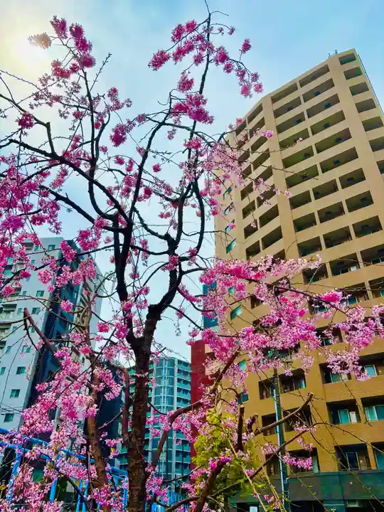 蒲田八幡神社(東京都)