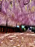 潮音寺(愛知県)