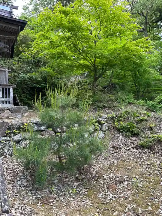 伊香具坂神社の自然