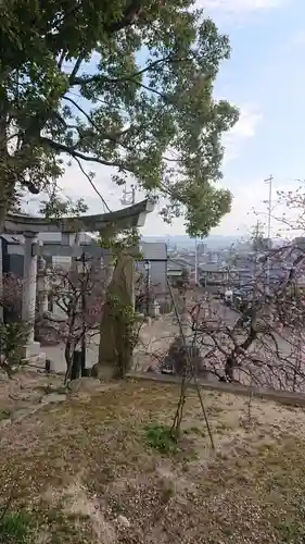 岡崎天満宮の自然