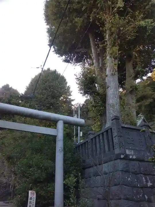 御霊神社(神奈川県)