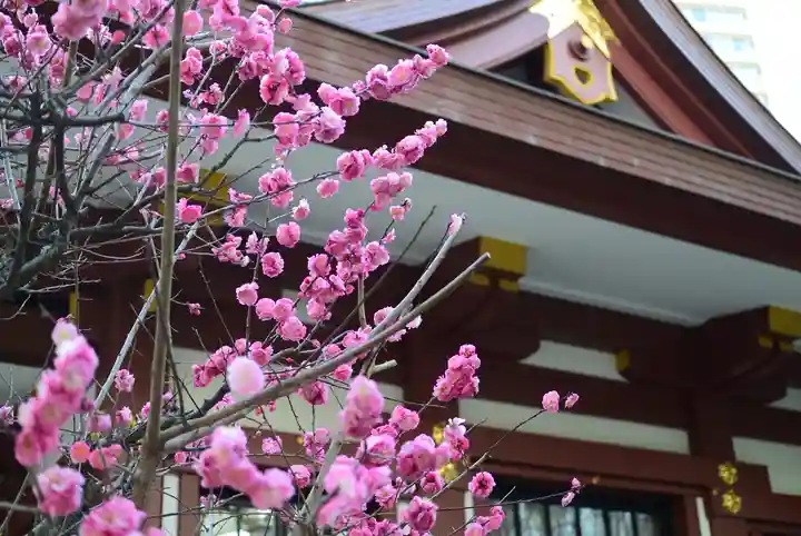 蒲田八幡神社(東京都)