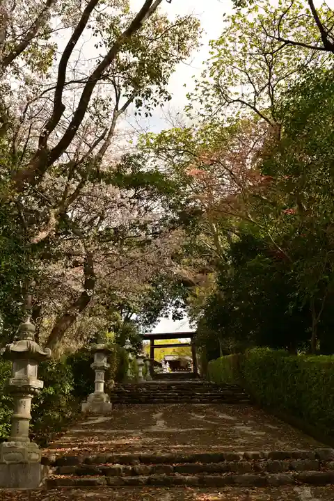 松山神社(愛媛県)