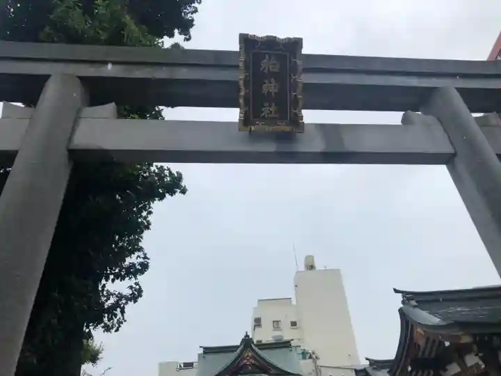 柏神社の鳥居
