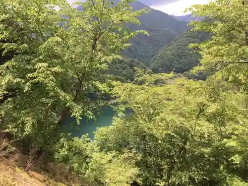 小河内神社の自然