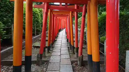 根津神社の鳥居