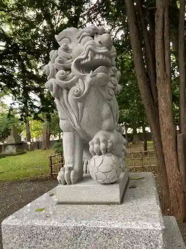 新琴似神社の狛犬