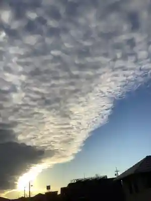 津島神社（神領町）の自然