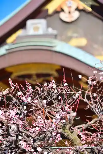 湯島天満宮(東京都)