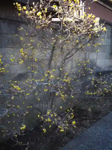 若雷神社(神奈川県)